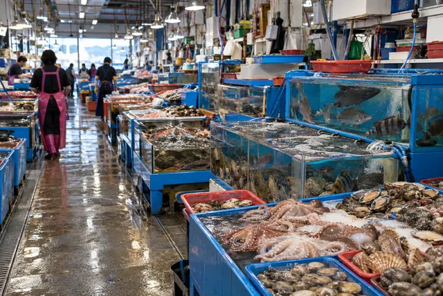 チャガルチ市場の活魚の水槽と魚介