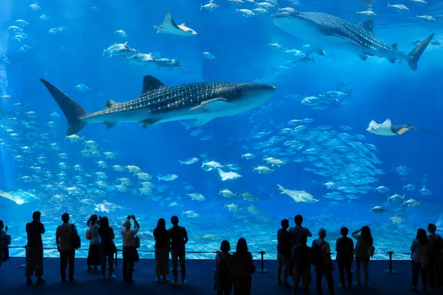 かごしま水族館