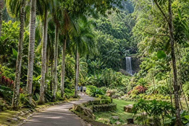 ペナン植物園の散策路