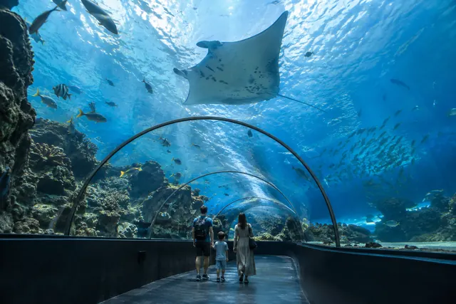 水族館のトンネル水槽